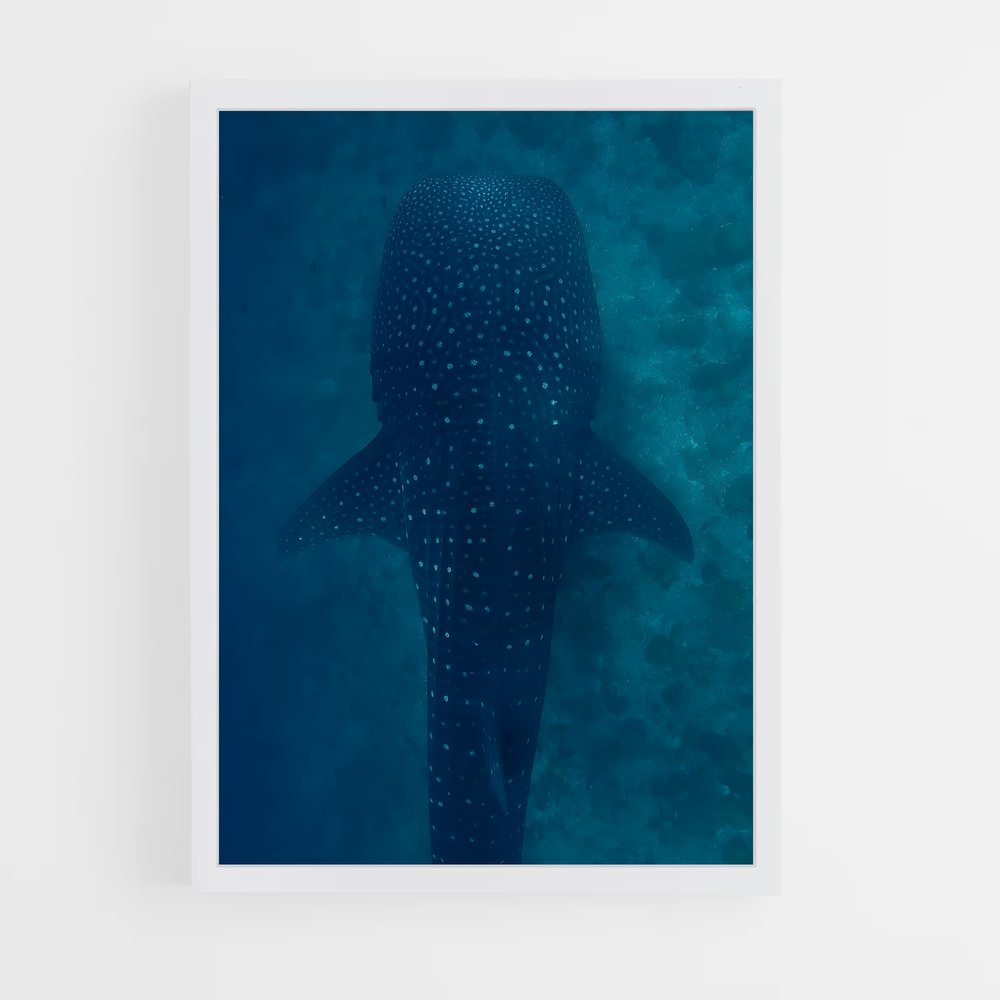 Poster La Danse des Cétacés – affiche Plongée sous-marine (vue 3)
